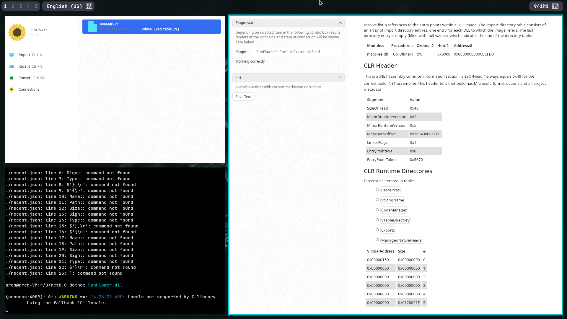 Sunflower at the archVM