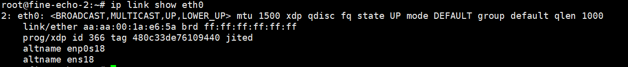 XDP Success Verification