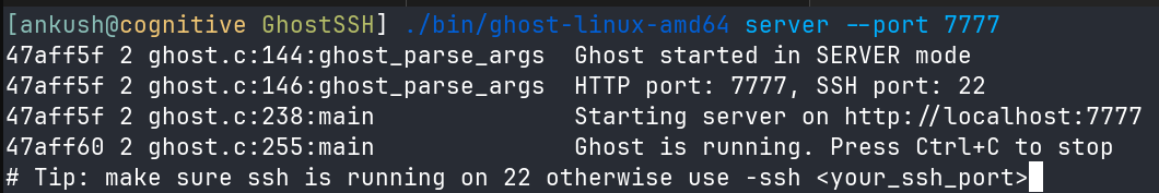 GhostSSH