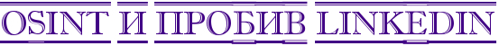 OSINT 和 LinkedIn 查询