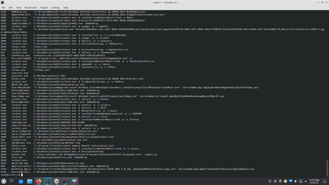 Figure 4.7 — windows.cmdline full output