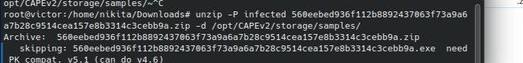 Figure 2.3 — Unzipping sample to working directory