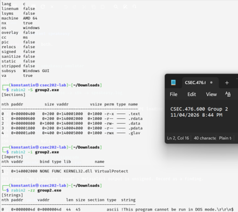 rabin2 -I, -S, -i, -zz output showing file properties, sections, imports, and strings
