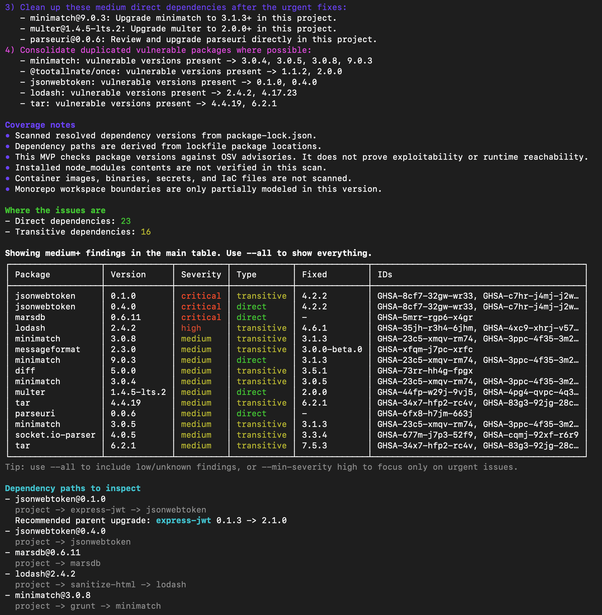 CVE Lite CLI verbose output screenshot