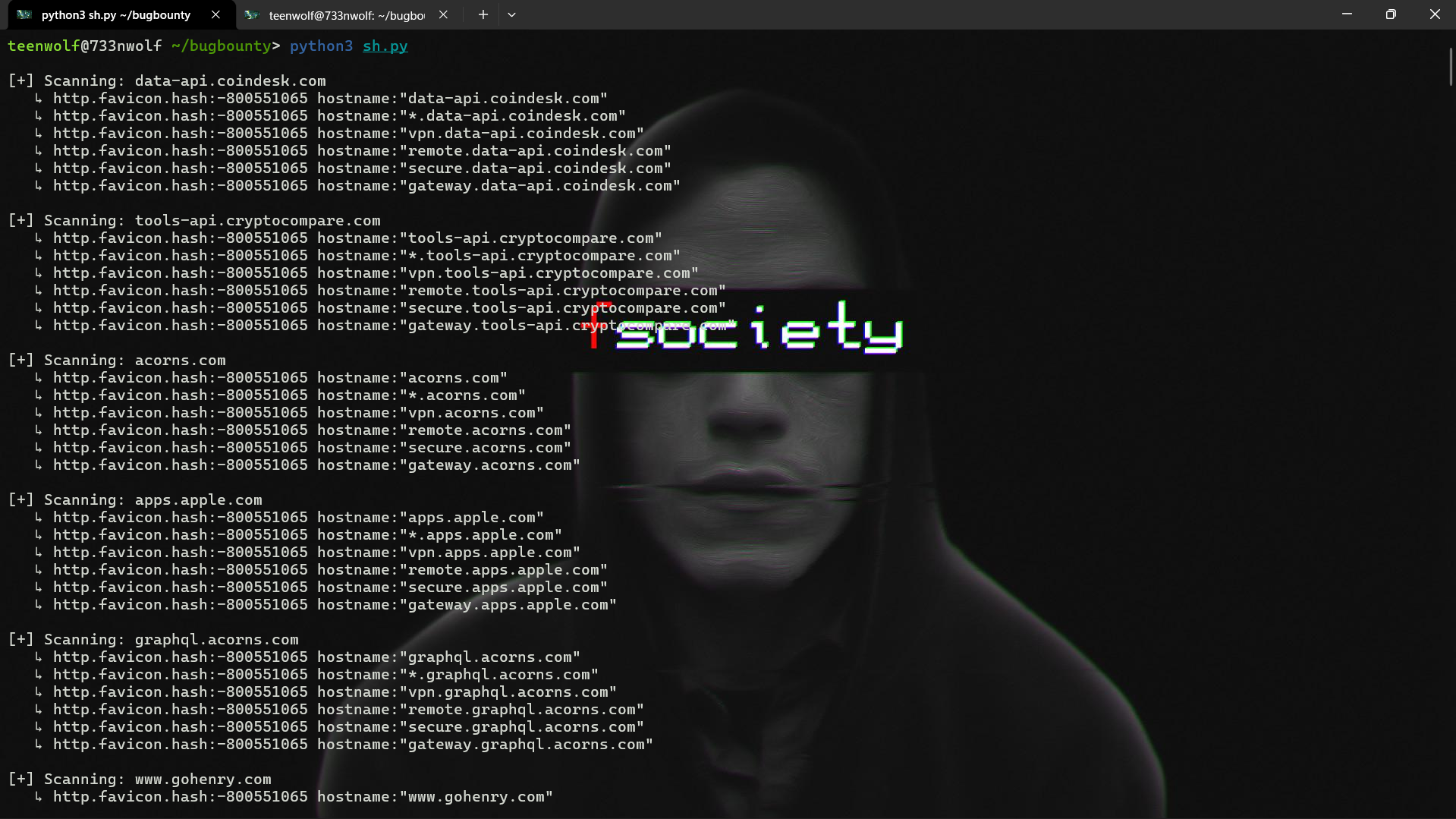 Shodan Favicon Hunter