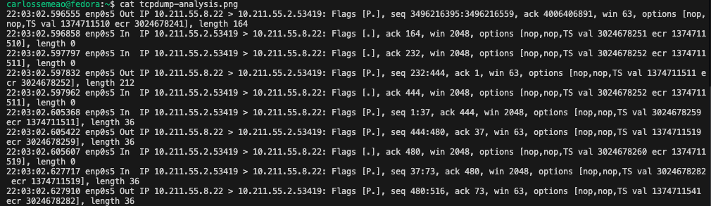 Tcpdump 分析