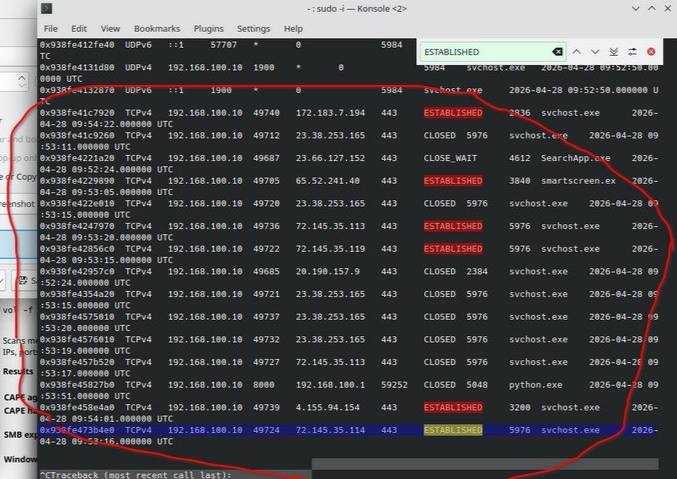 Figure 4.12 — netscan: svchost ESTABLISHED connections to Microsoft IPs
