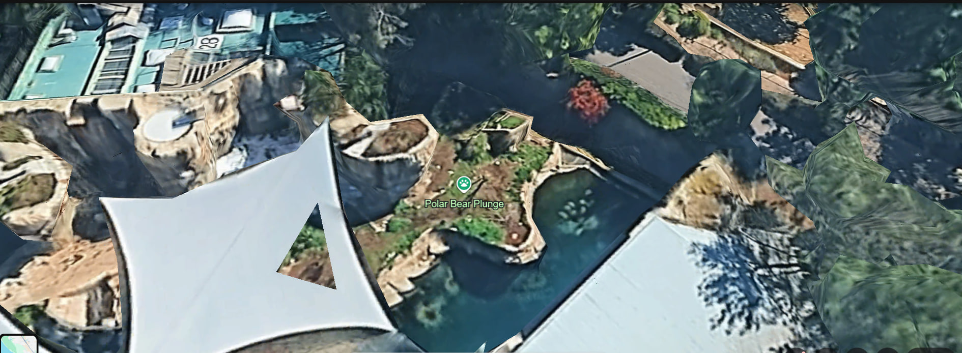 Google Earth — Polar Bear Plunge