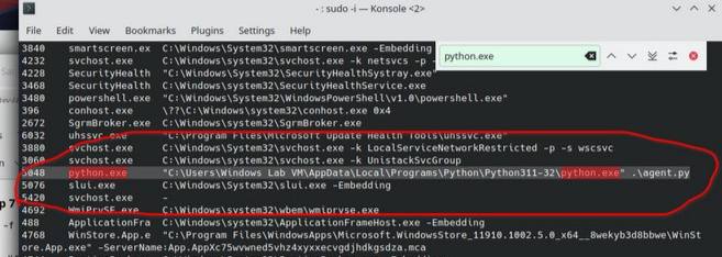 Figure 4.8 — cmdline: PID 5048 python.exe entry