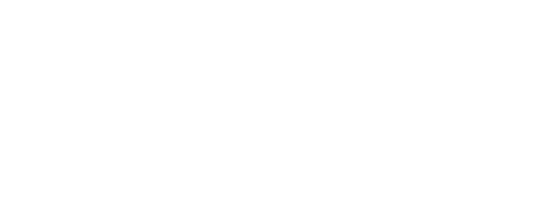 SmuggleX Logo