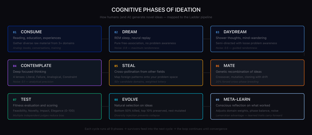 Cognitive Phases of Ideation