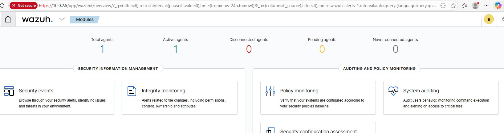 两个 Agents 均处于 Active 状态