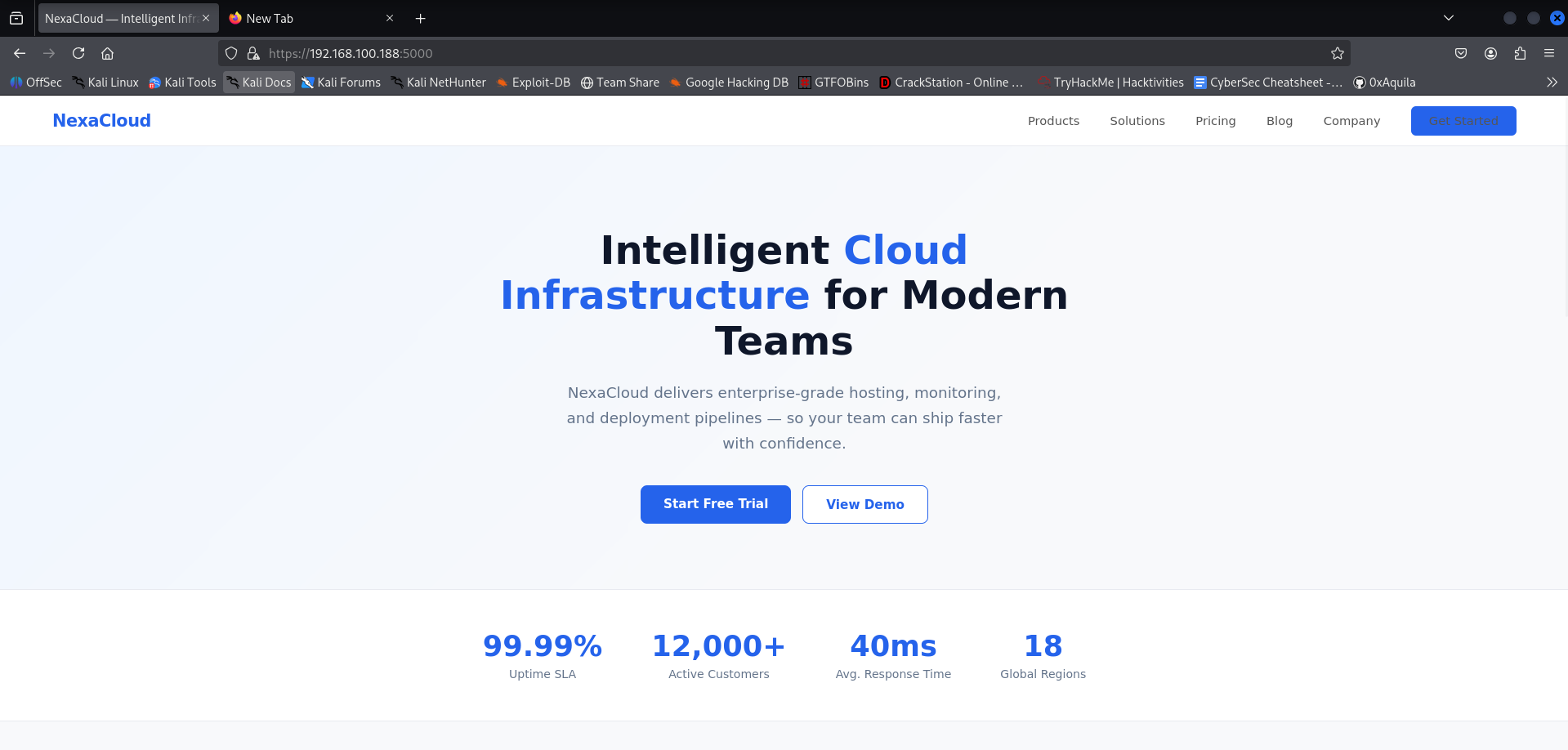 NexaCloud decoy site
