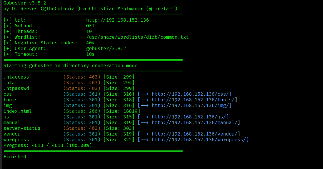 gobuster Enumeration