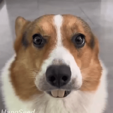 Фото на GitHub Ильсаф Набиуллин