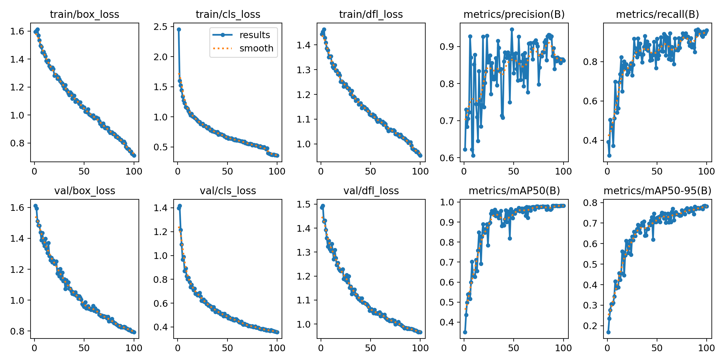 alt 100 个 epoch 的训练结果