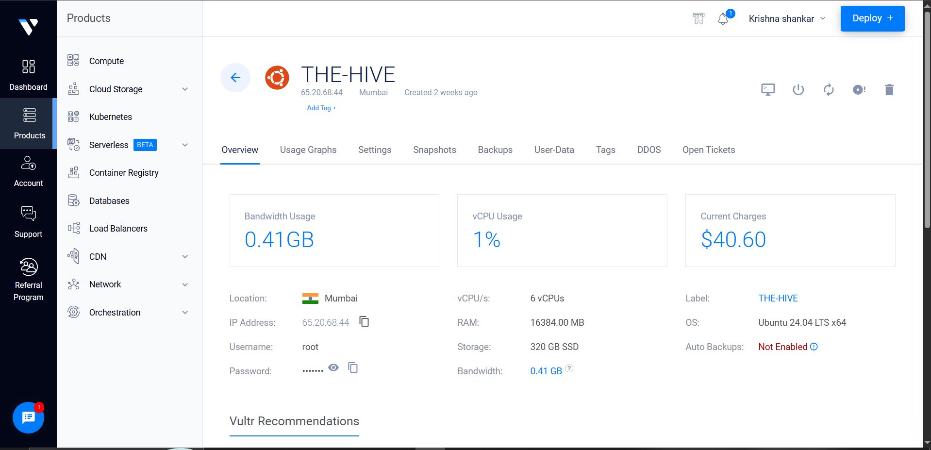 Vultr 仪表盘 - TheHive 实例