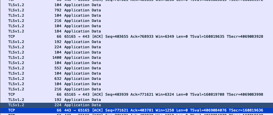 SwizGuard traffic in Wireshark