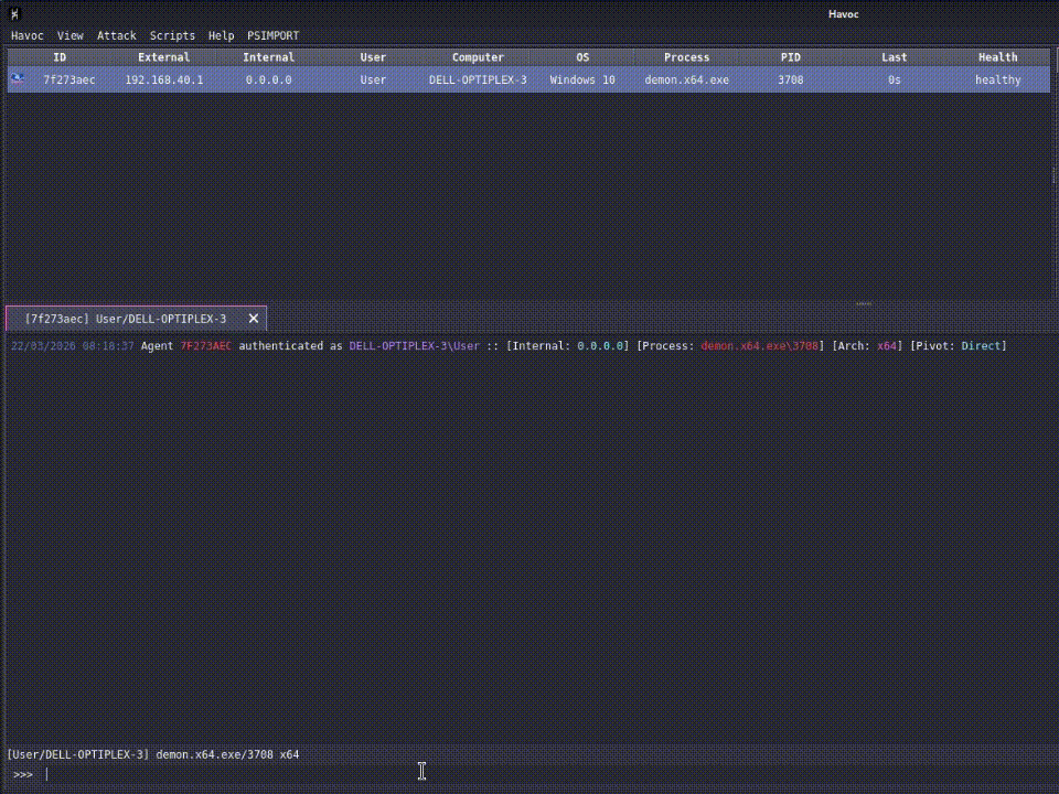 NOFILTER-NFEXEC_DEMO