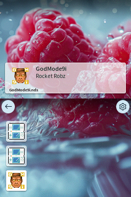 带有自定义主题的横屏显示模式