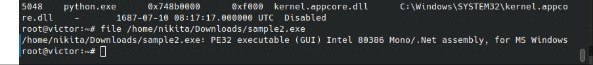 Figure 5.1 — file command output