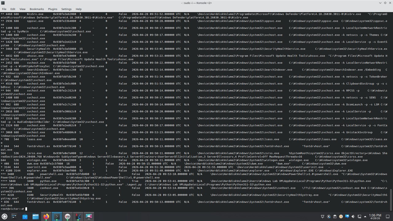 Figure 4.5 — windows.pstree full output