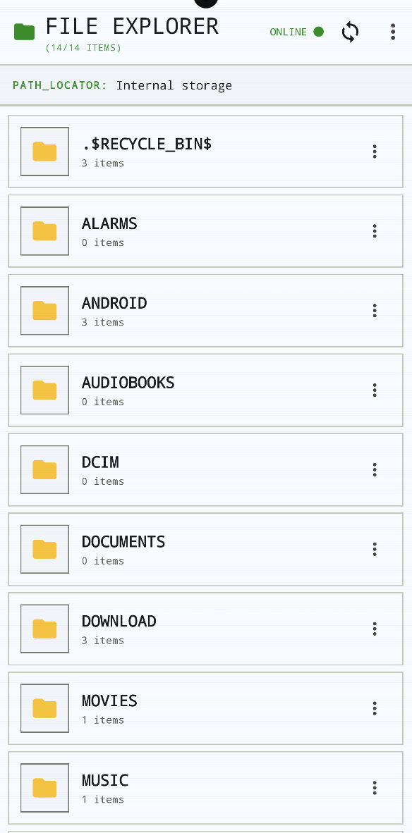 Remote file explorer bulk operations pane