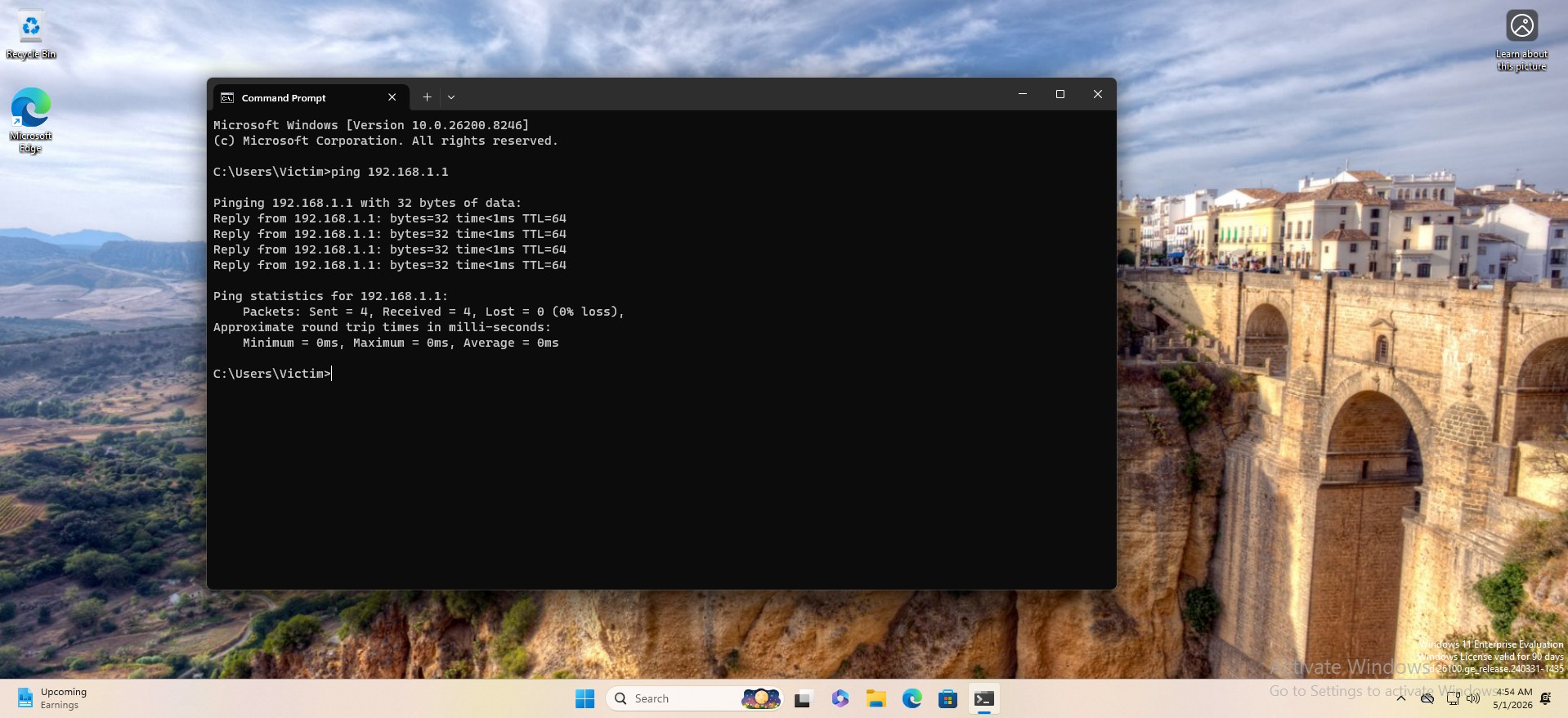 Ping pfSense