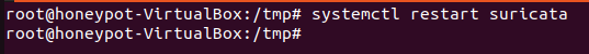 Reinicio del servicio de Suricata