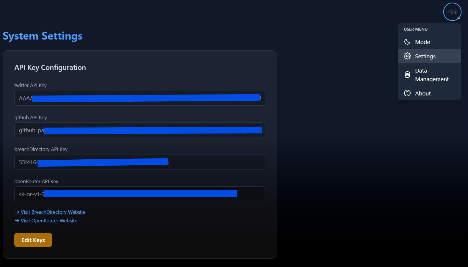 API Settings Screenshot