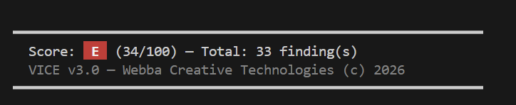 VICE score