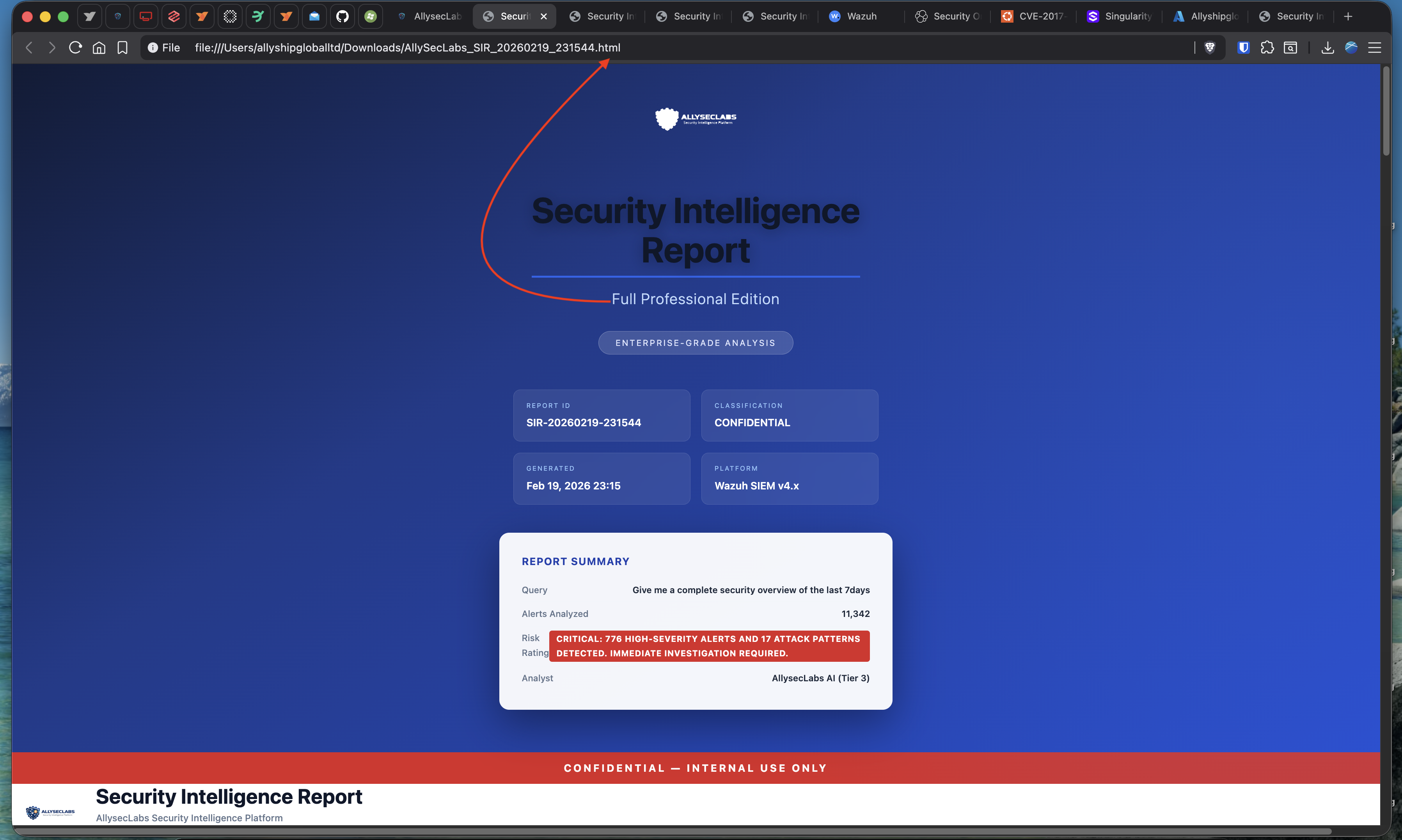 Full Report