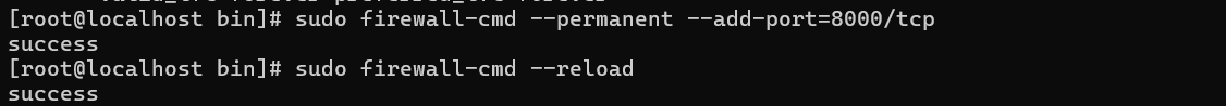 Firewall Add Port 8000