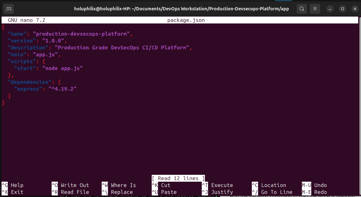 package.json 配置验证