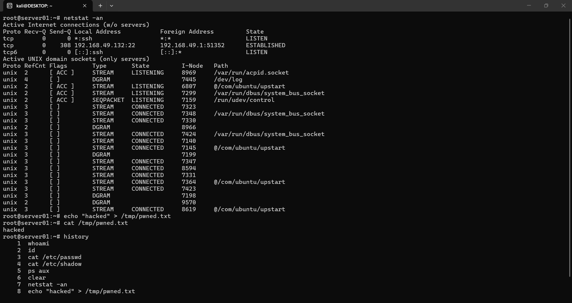 Netstat Echo History Cat