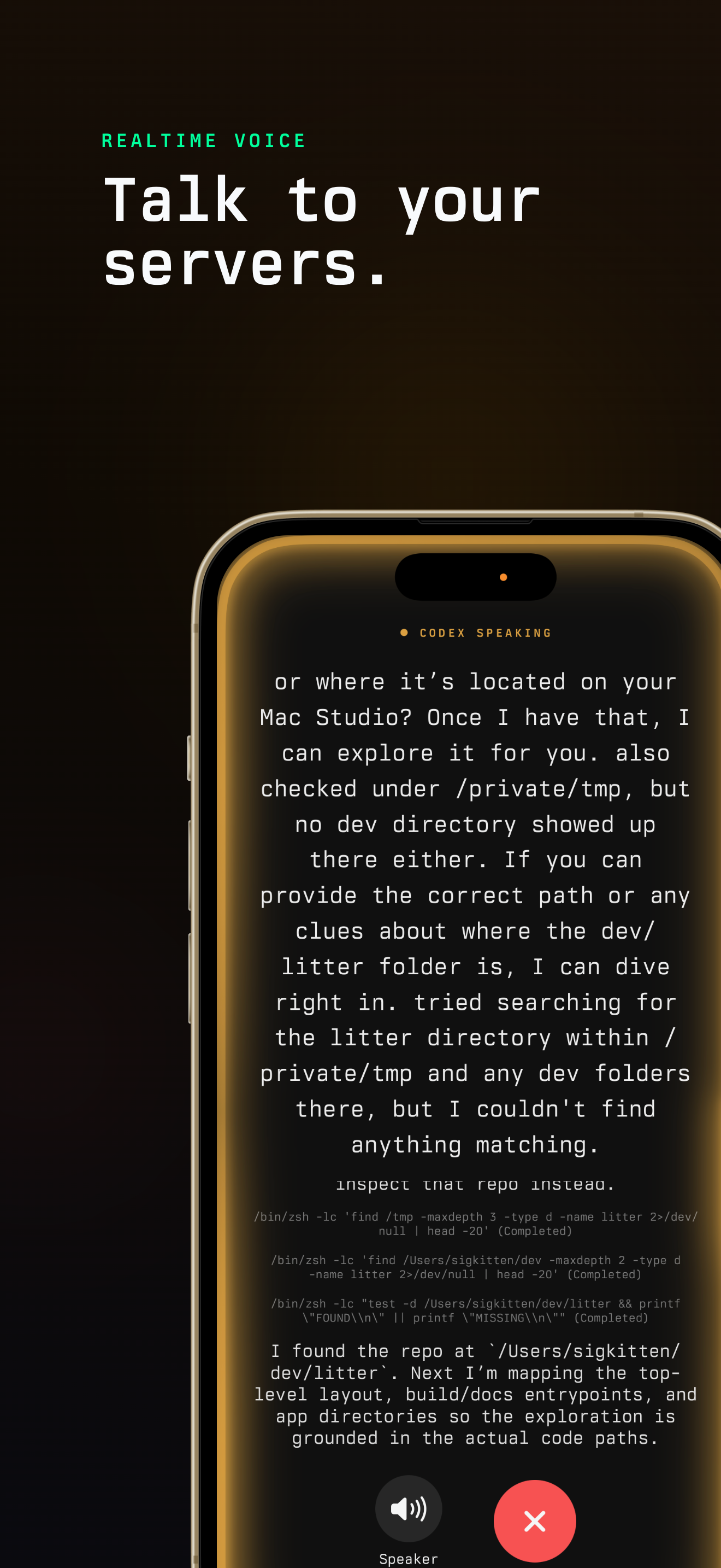 Realtime voice