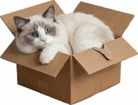catpaq screenshot