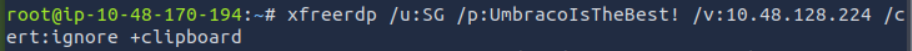Nmap 扫描结果