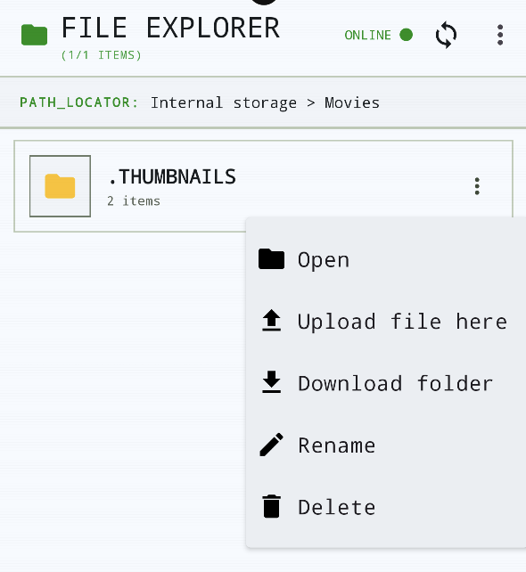 Remote file explorer detail drawer