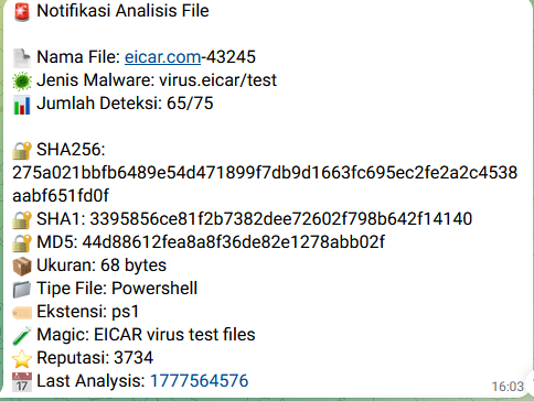 File Forensics Output
