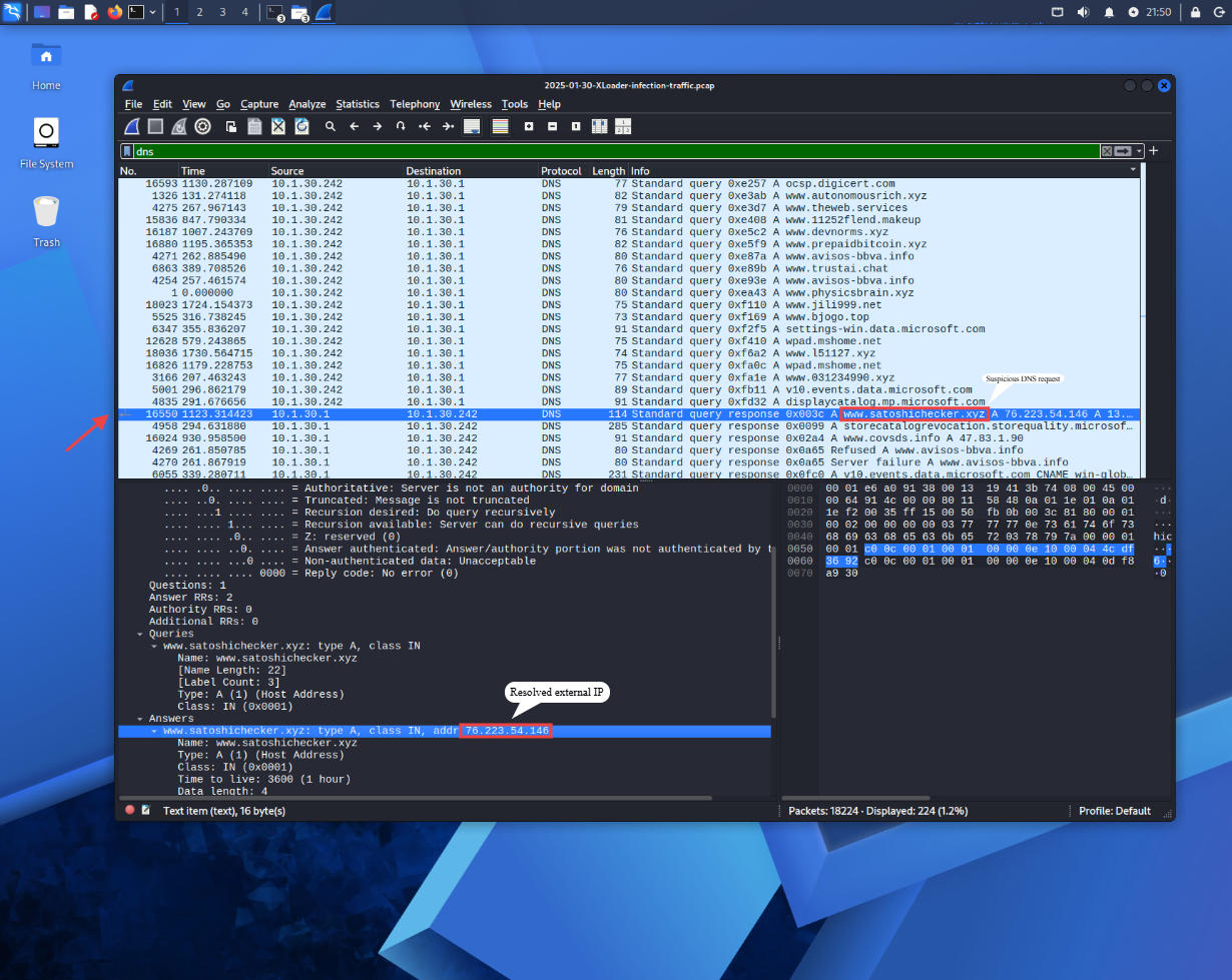 DNS 调查