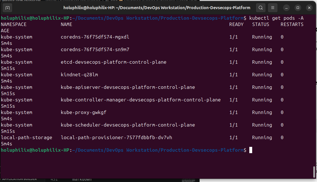 Kubernetes 系统工作负载验证
