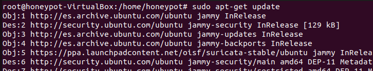 sudo apt-get update