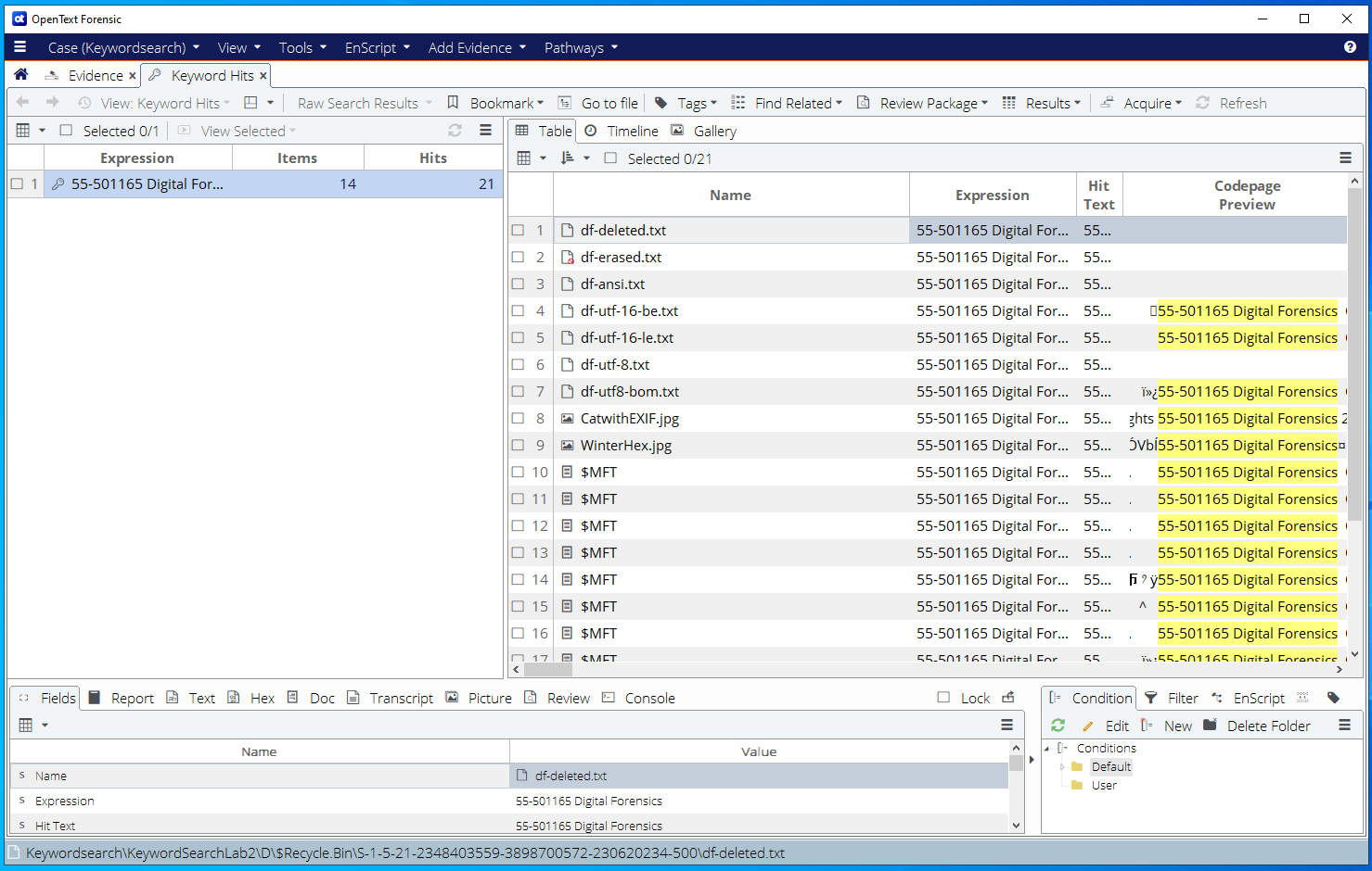 Results Panel