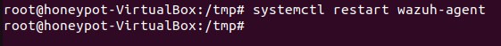 Reinicio del servicio de Suricata