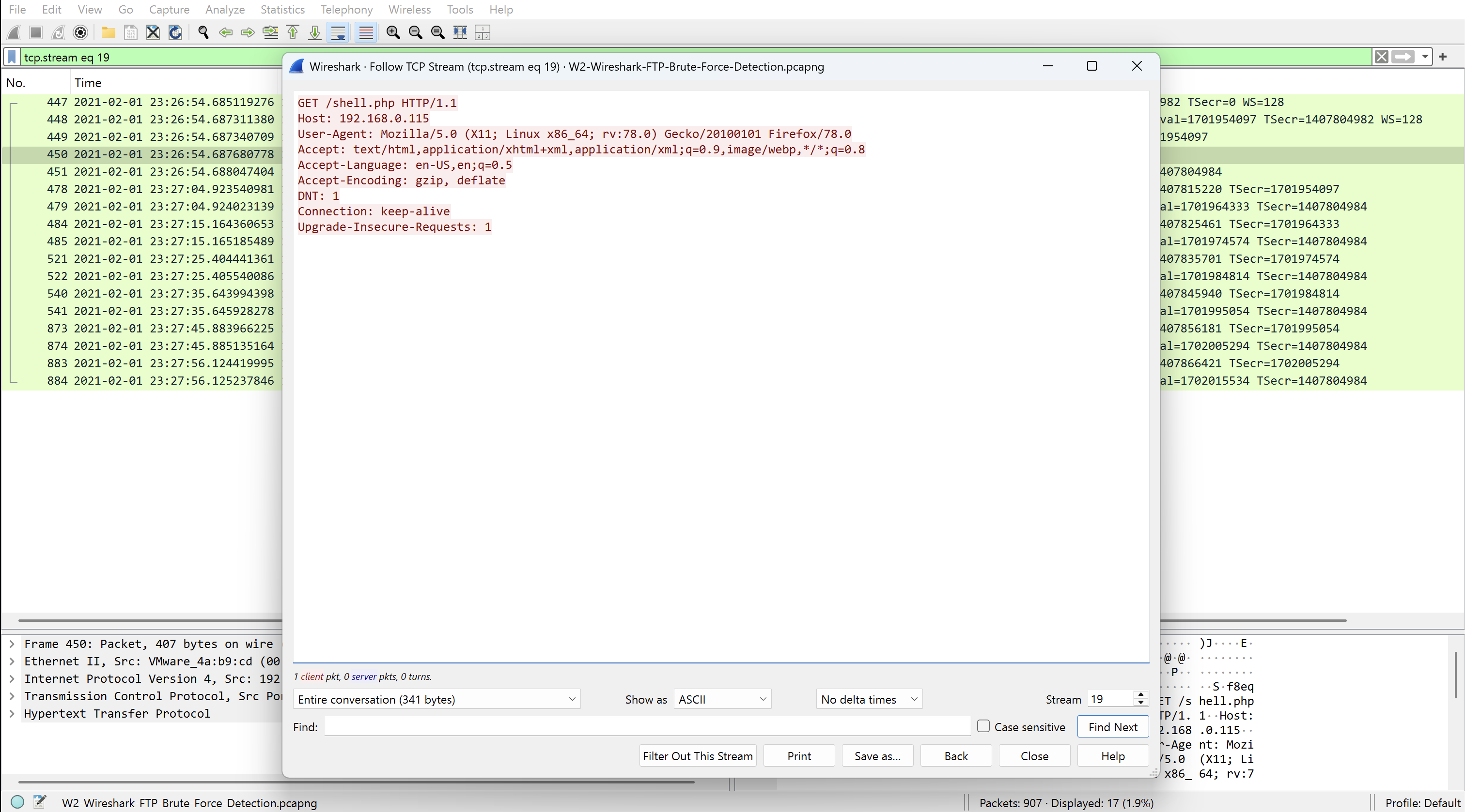 TCP Stream — GET /shell.php 请求