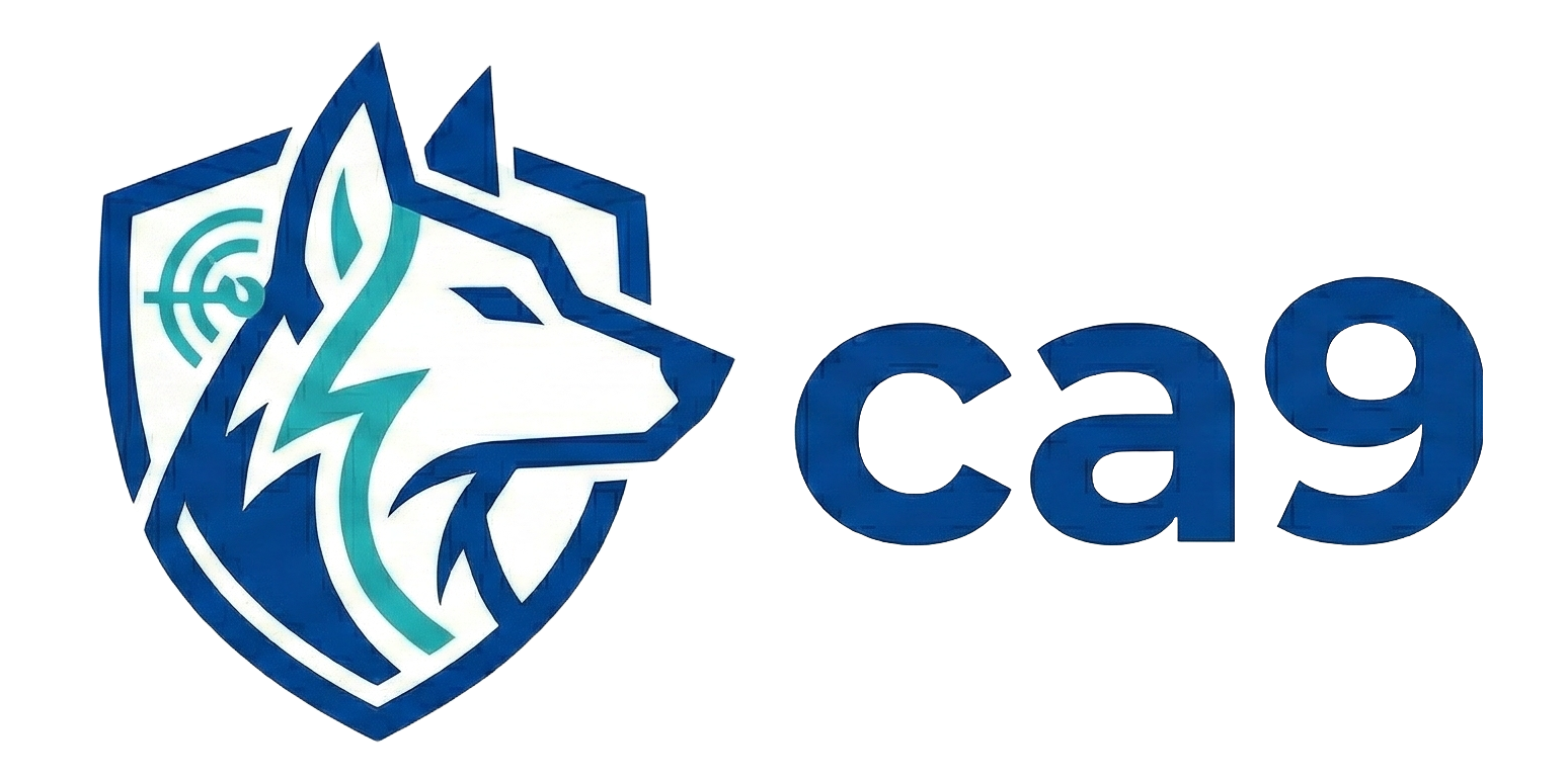 ca9 - evidence-backed Python package security