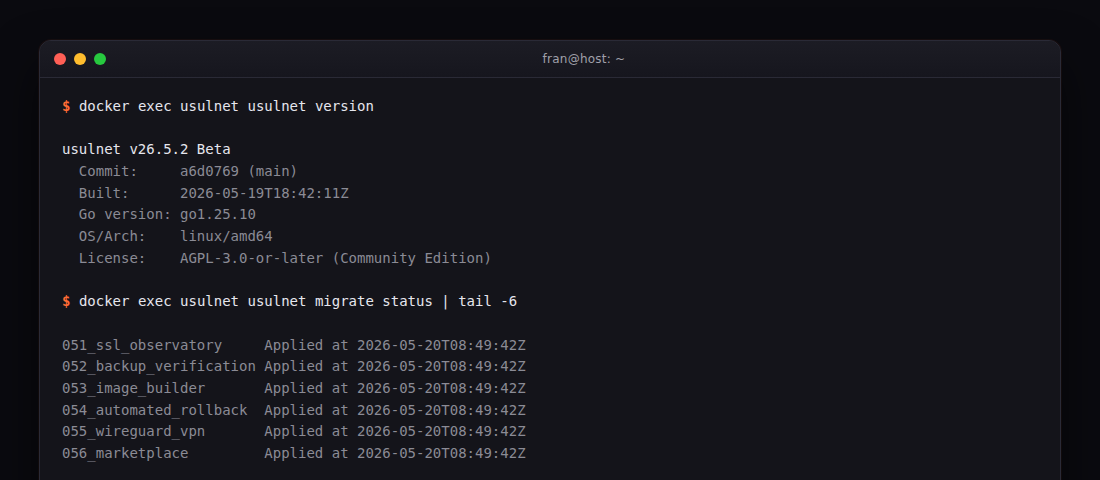 usulnet version output